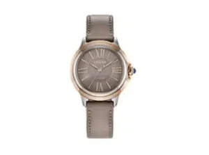 Citizen Eco Drive Chandler Best Casual Everyday Watch Women Under 500 in USA